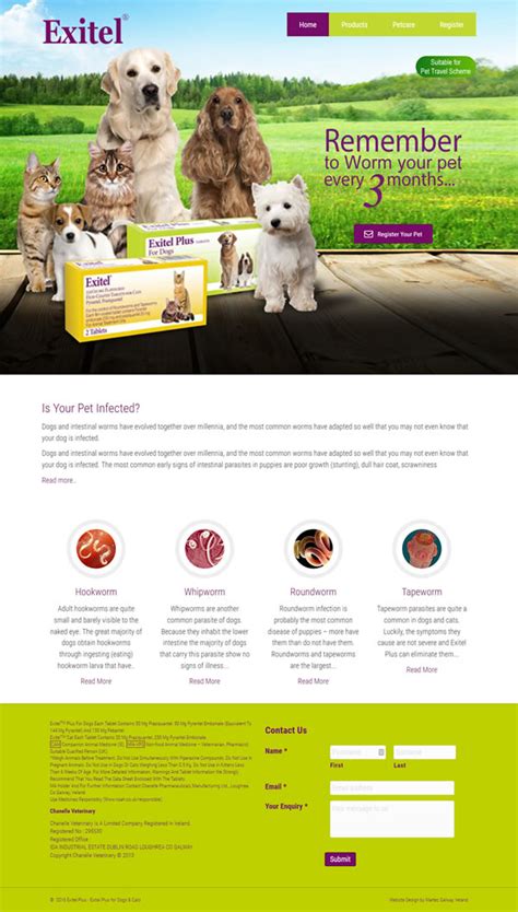 chanelle veterinary
